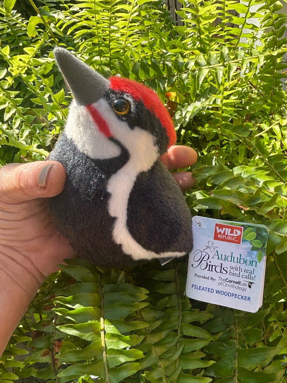 Wild Republic Audubon Pileated Woodpecker Plush Real Bird Call w/ Tag